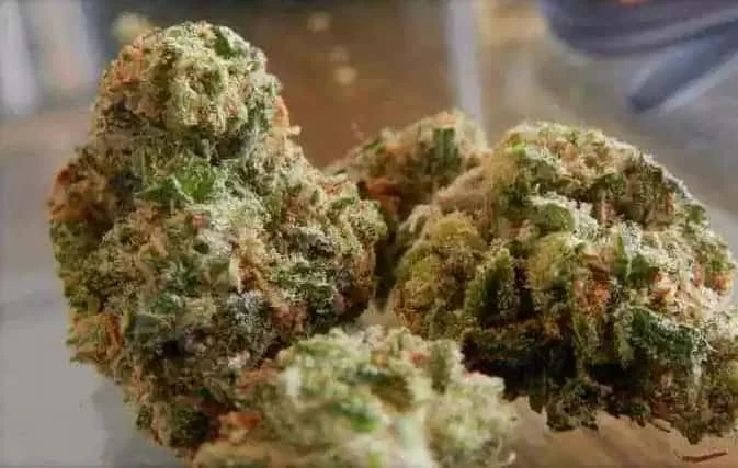 Strawberry Lemonade 2