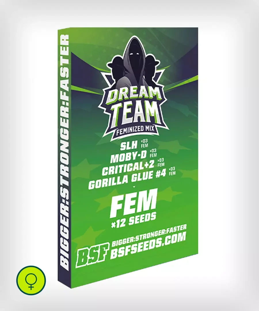 Dream Team Mix