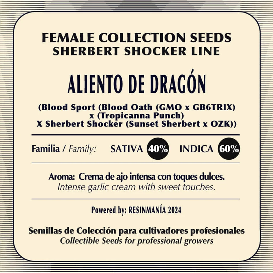 Aliento De Dragon 2