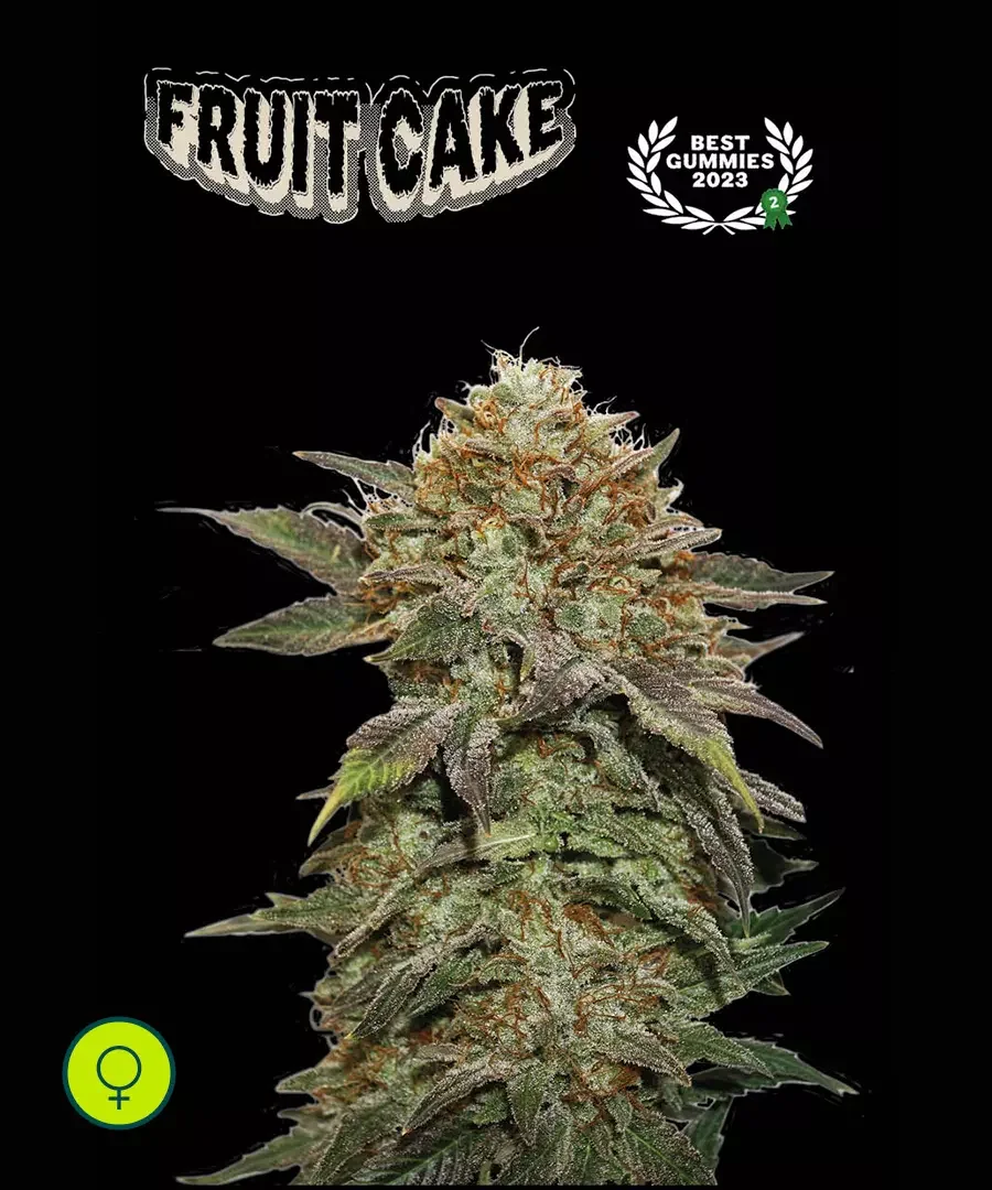 Fruit Cake