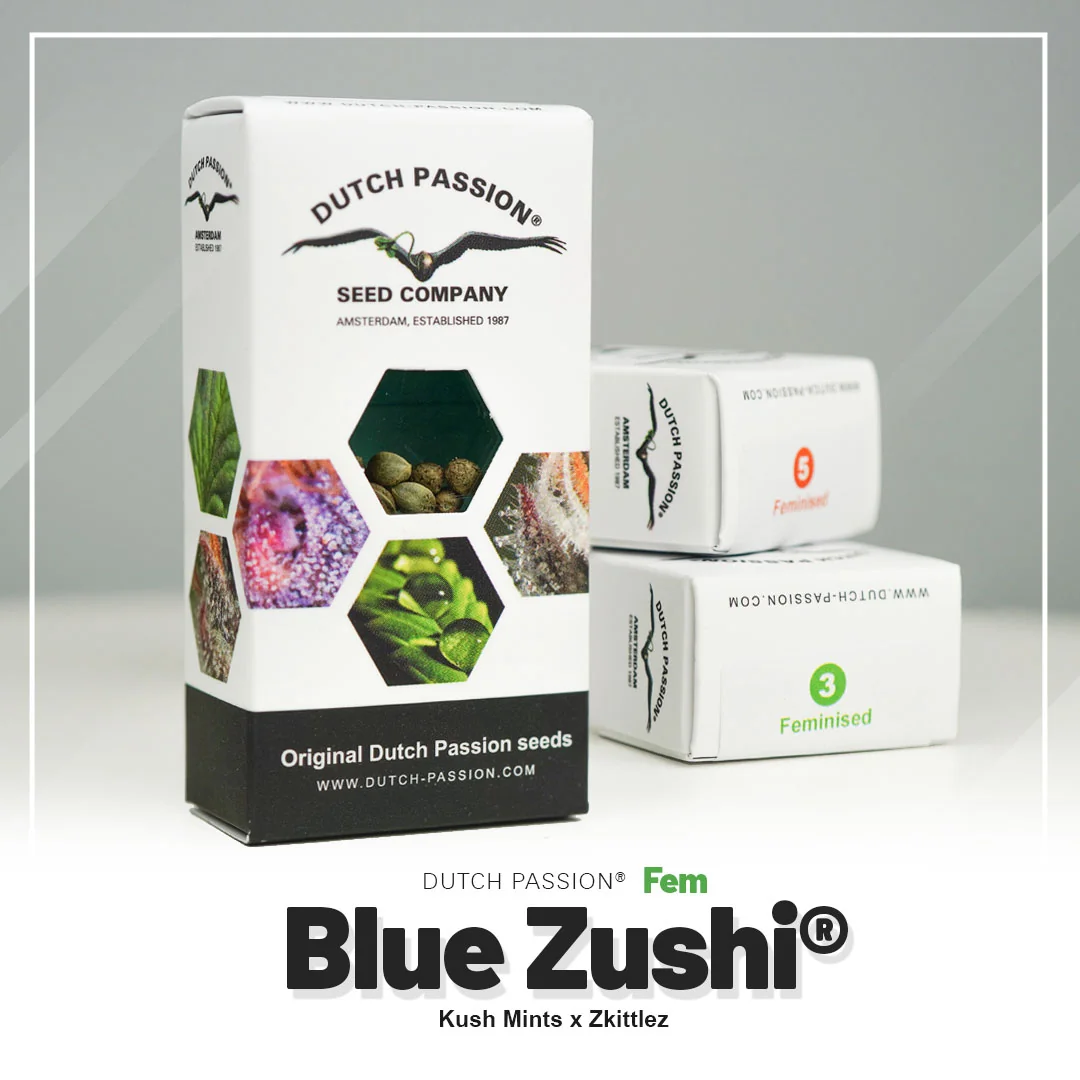 Blue Zushi