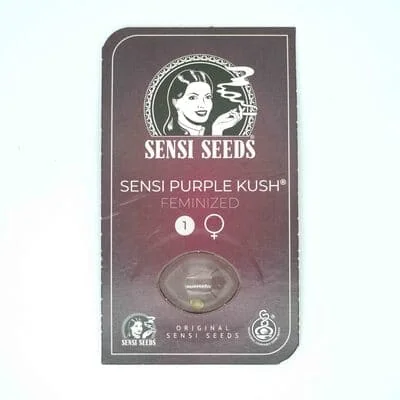 Sensi Purple Kush