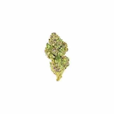Pink Crumble 2