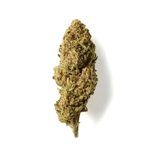 Fruit Cake Cbd