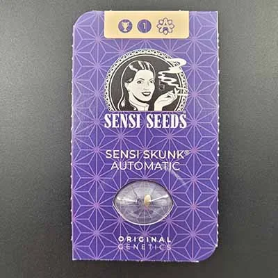 Sensi Skunk