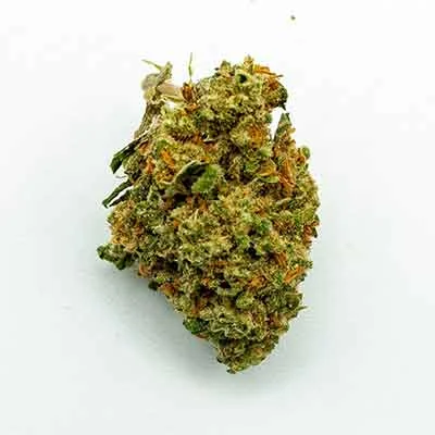Atlas Cbd F1 2