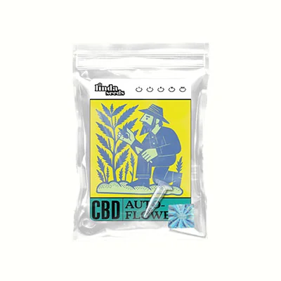 Autoflower Cbd 2
