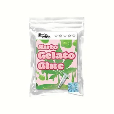 Gelato Glue 3
