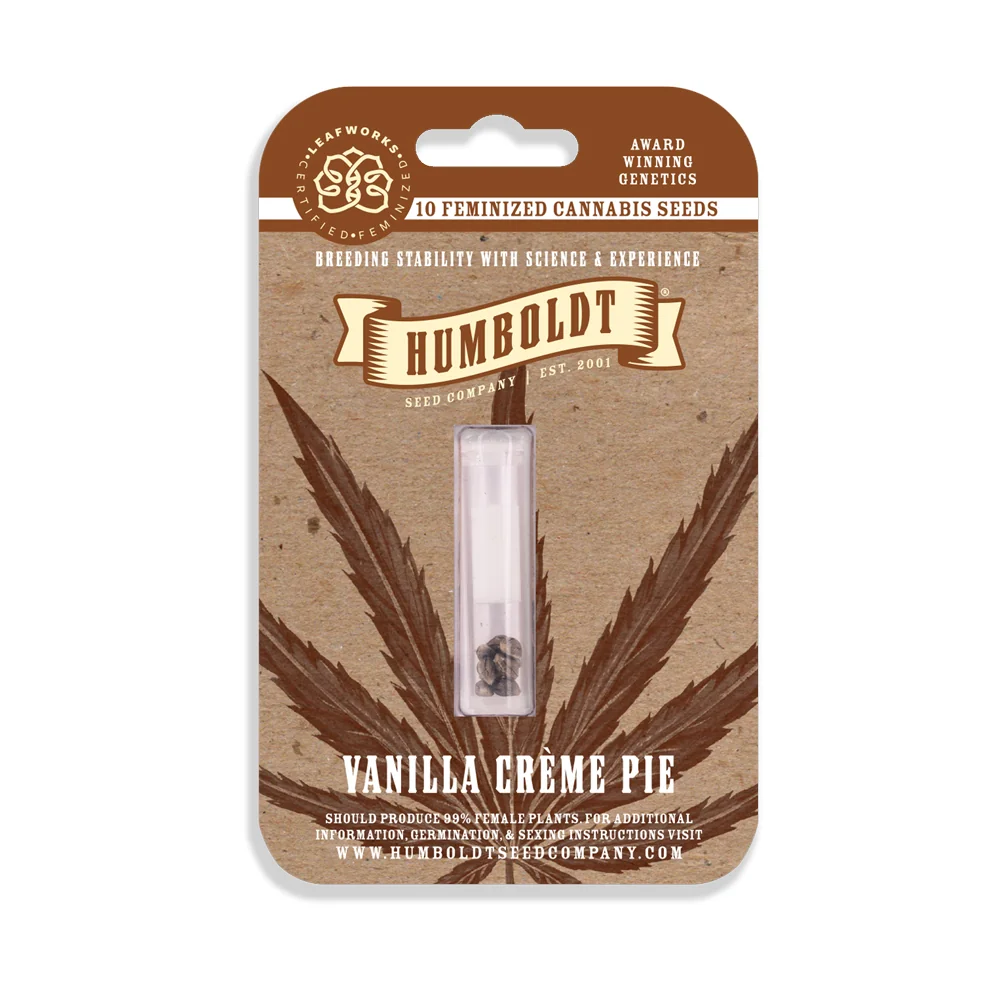 Vanilla Creme Pie 2