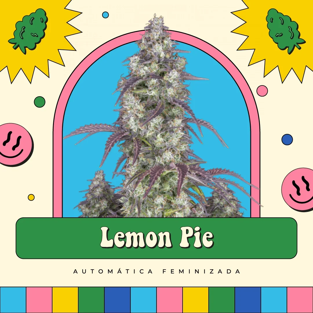 Lemon Pie 4