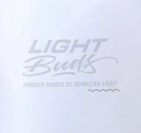 Lafanta Cbd