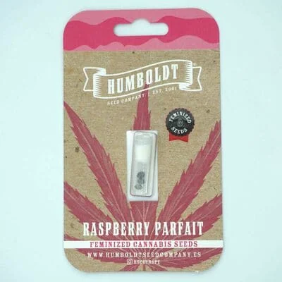 Raspberry Parfait 2