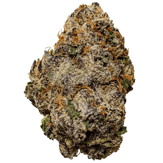 Cherry Biscotti 3