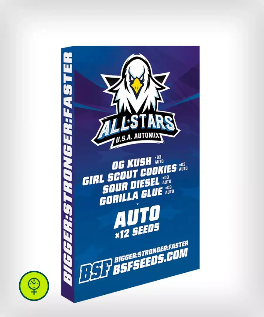 All Stars Usa Automix 5