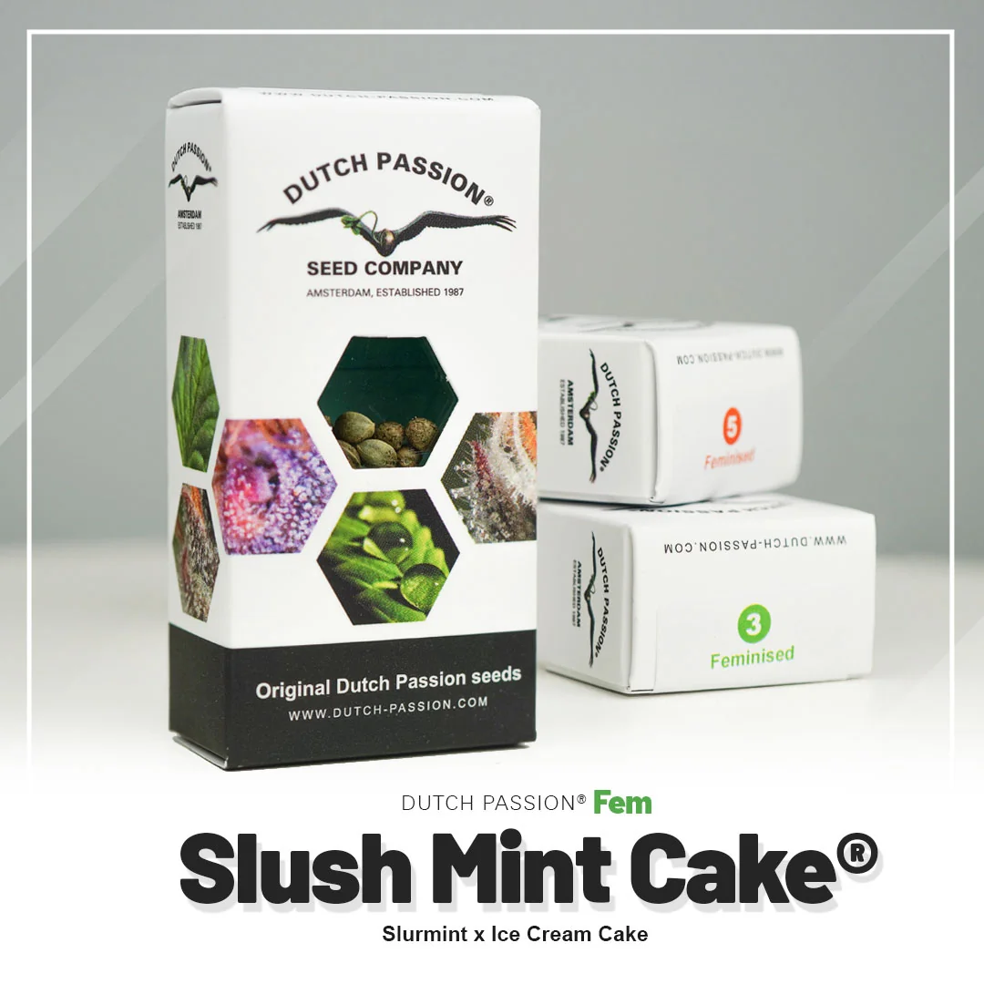 Slush Mint Cake