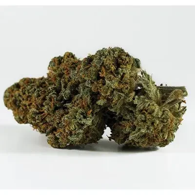 Purple Thai 3