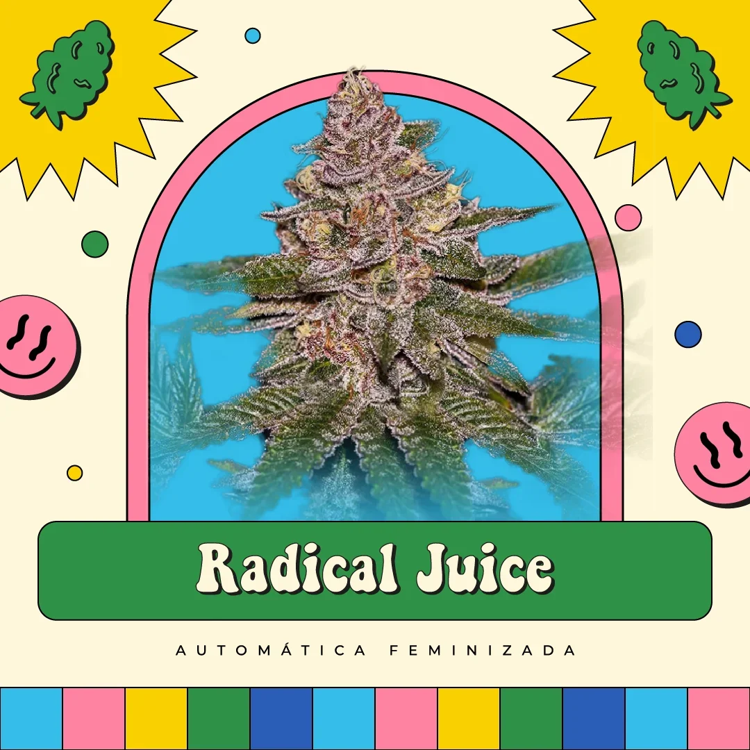 Radical Juice