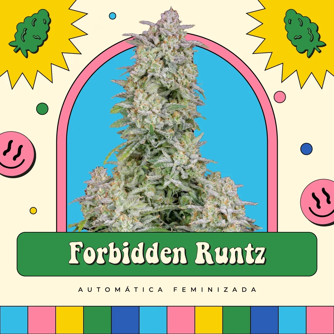 Forbidden Fruit 3