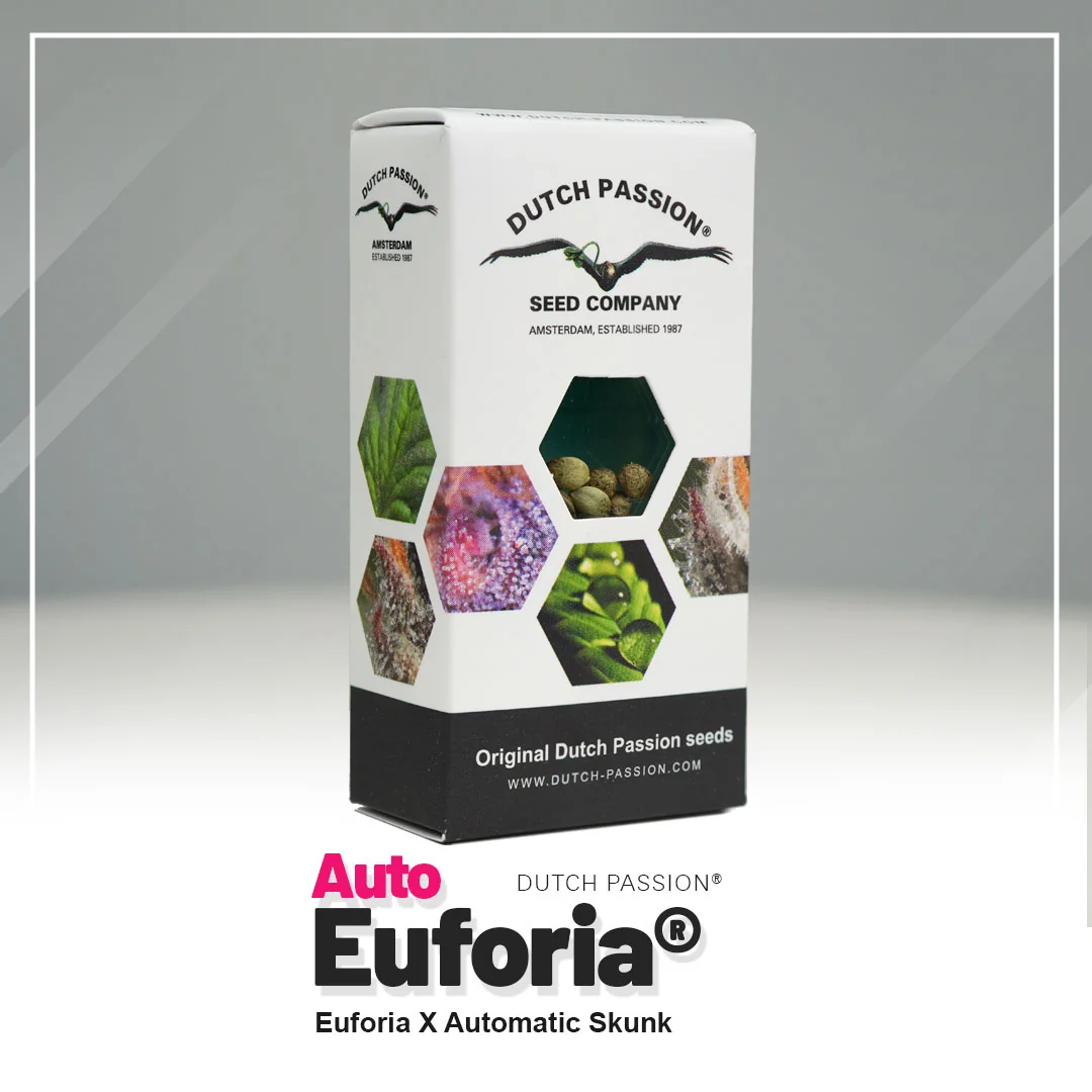 Euforia