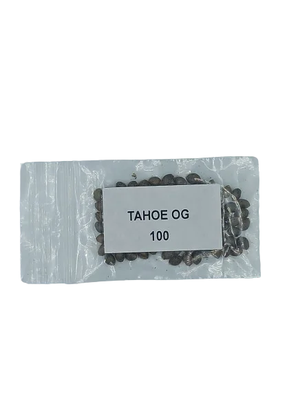 Tahoe Og