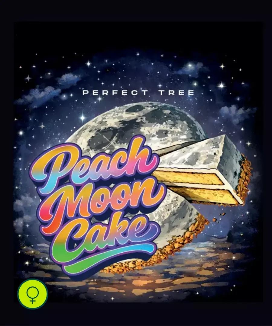 Peach Moon Cake