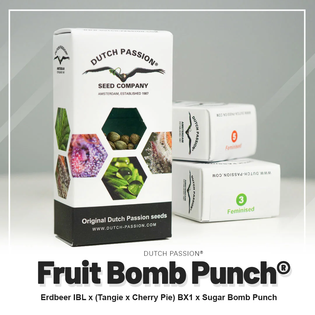 Fruit Bomb Punch