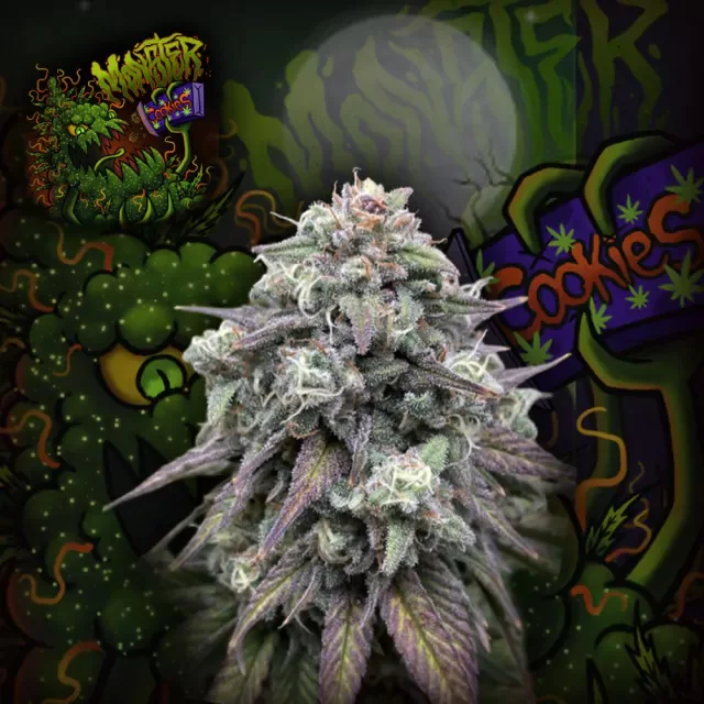Monster Cookies