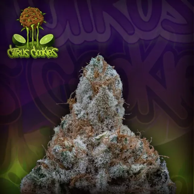 Citrus Cookies