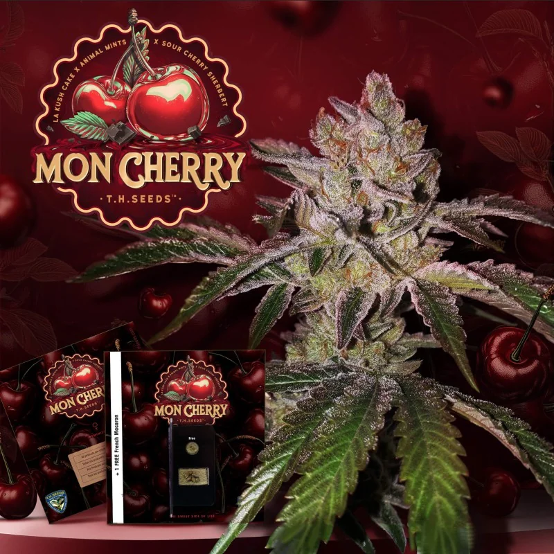 Mon Cherry 2