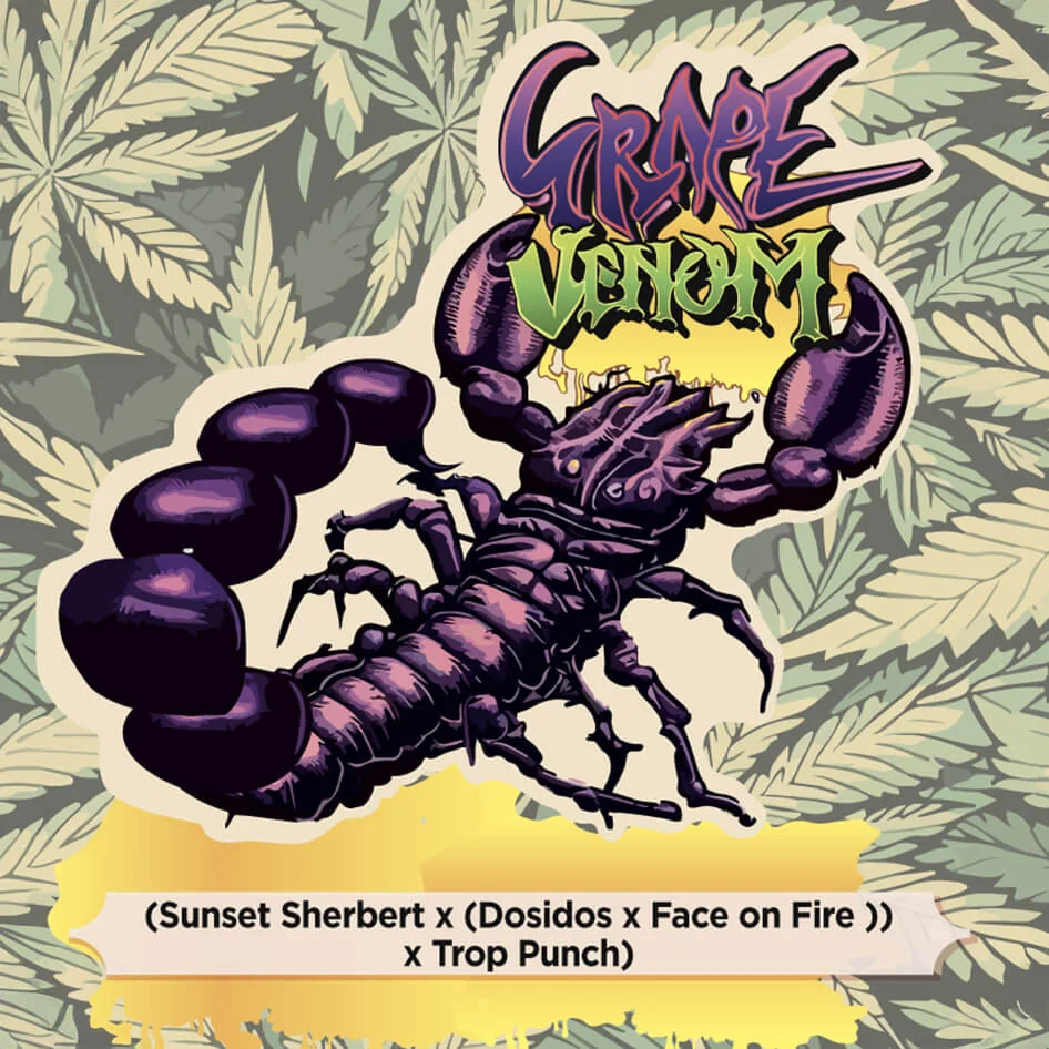 Grape Venom