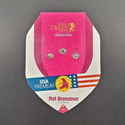 Fat Banana 3