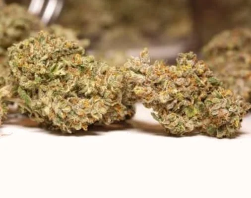 Lemon Kix 3