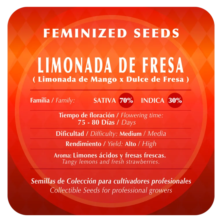 Limonada De Fresa 2