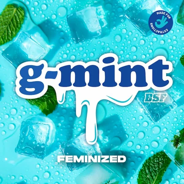 G Mint