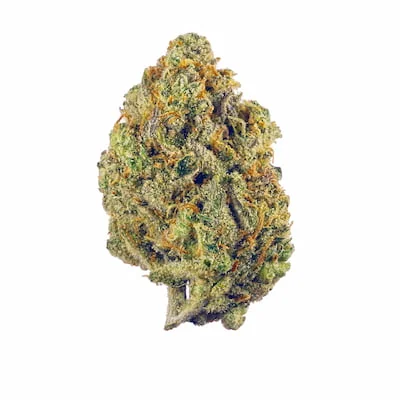 Gelato 44 2