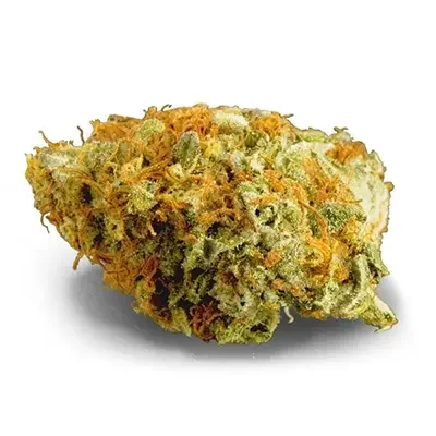 Og Kush 3