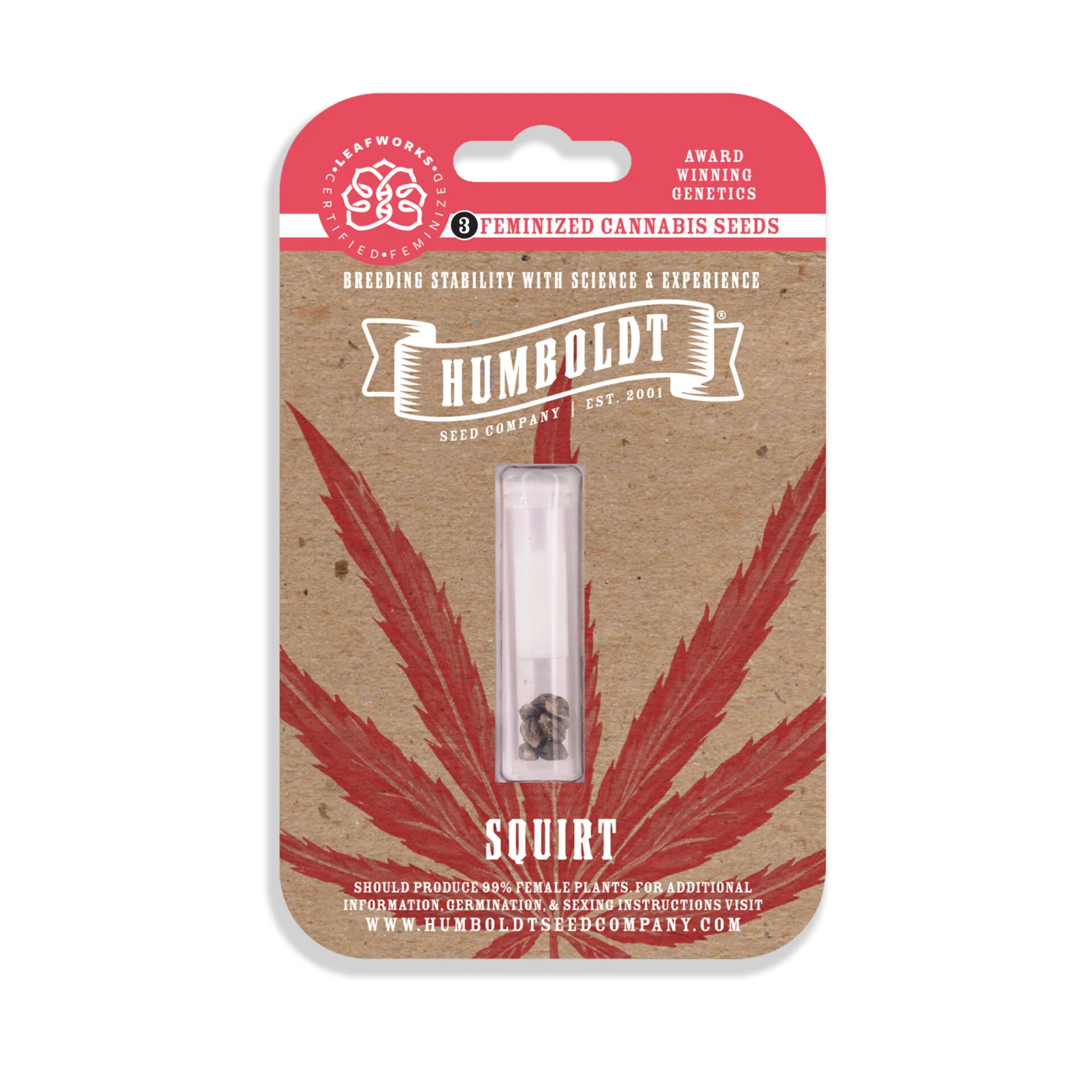 Squirt 5