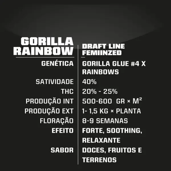 Gorilla Rainbows Fot Bsf 3
