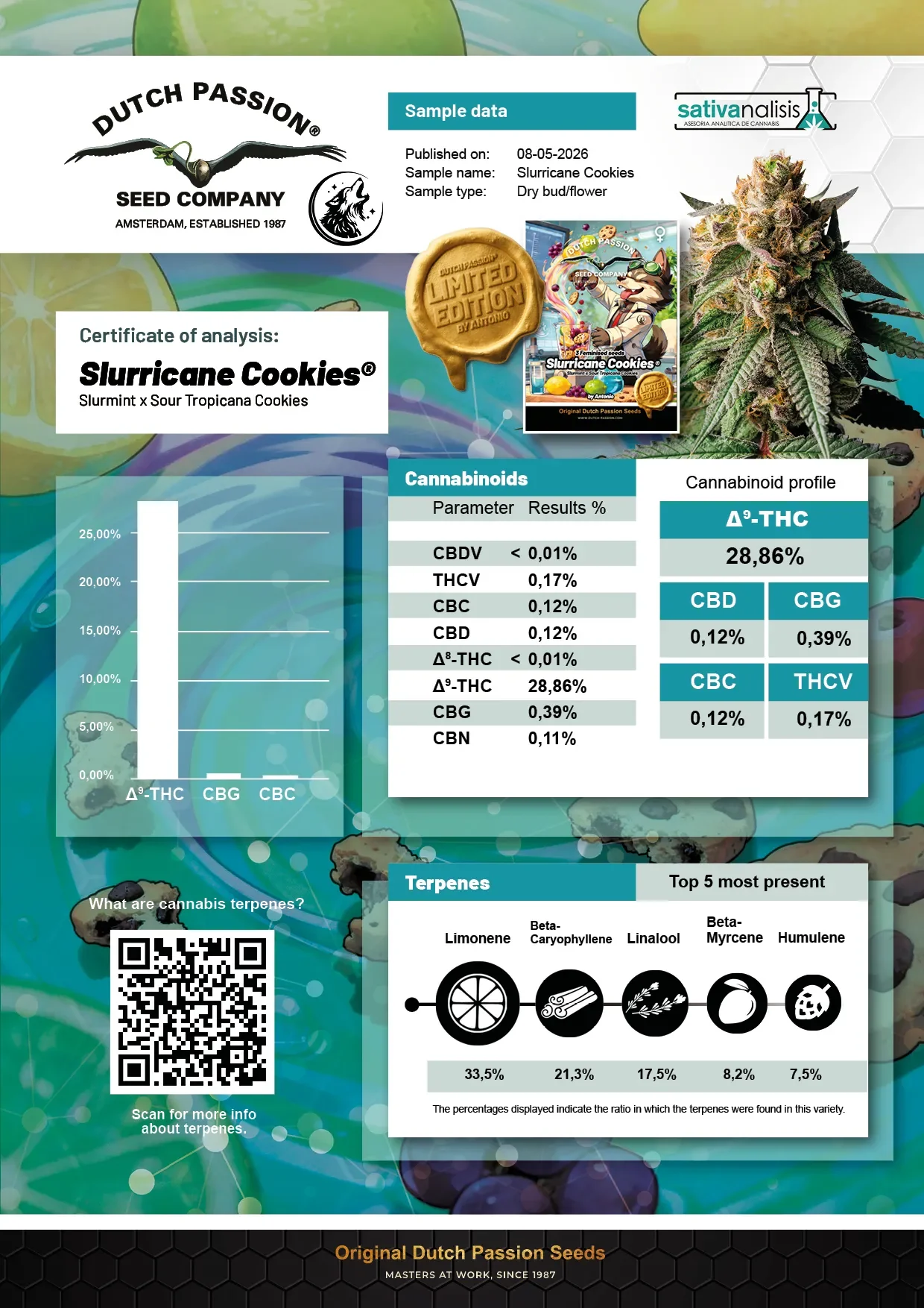 Slurricane Cookies 5