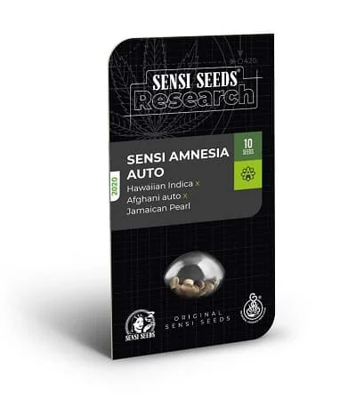 Sensi Amnesia 3