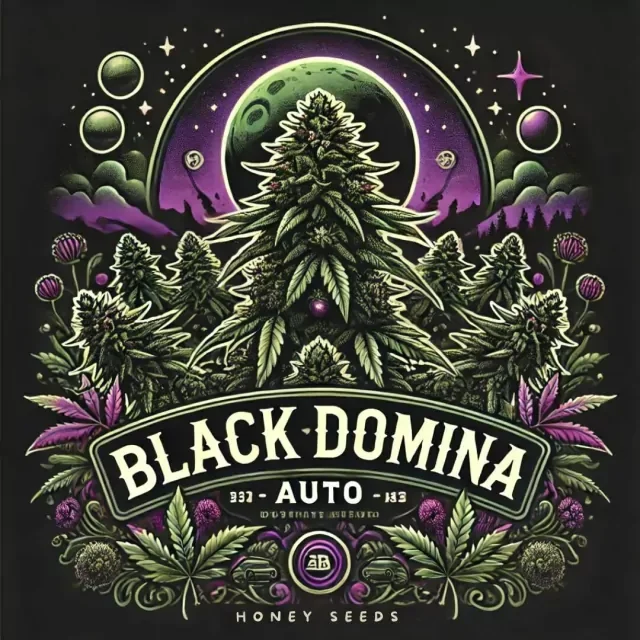 Black Domina