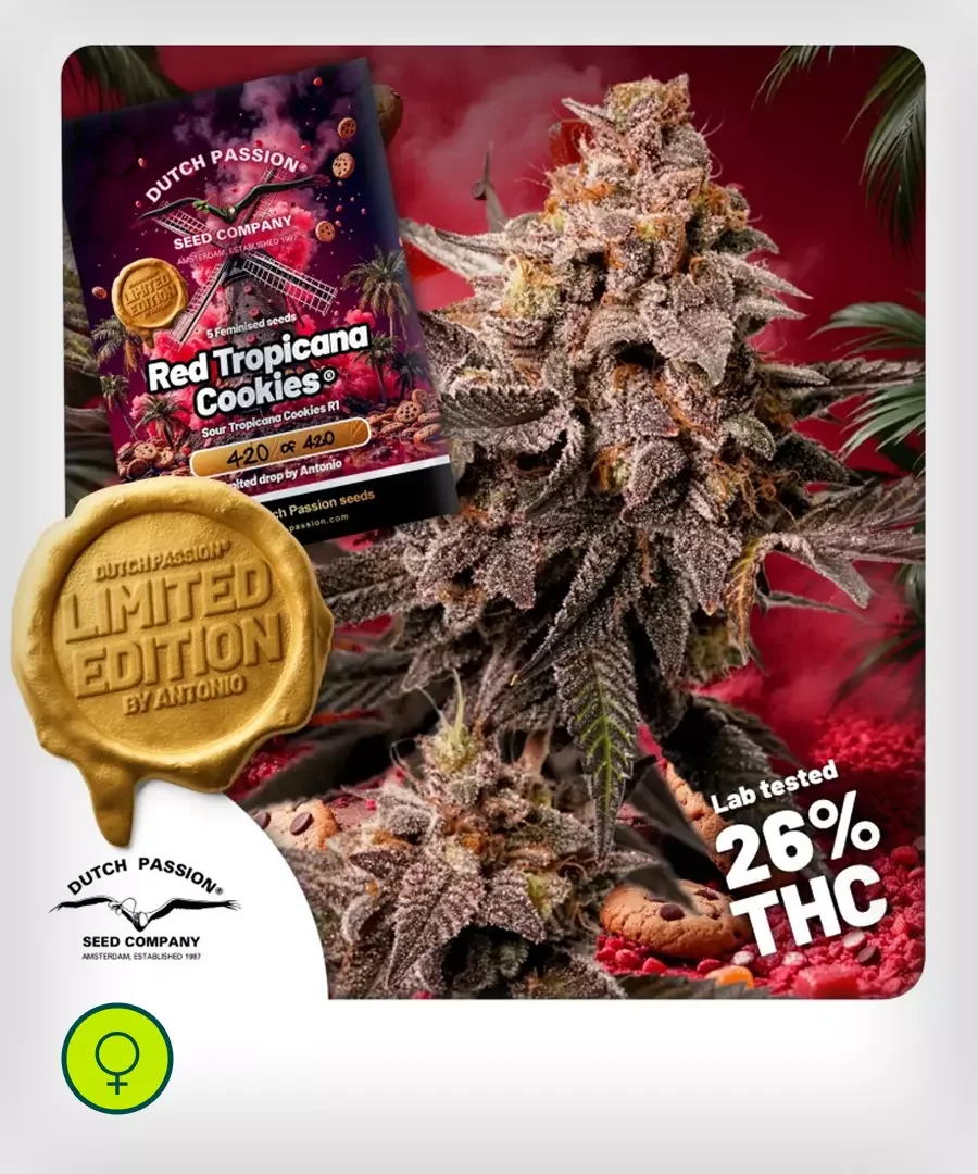 Red Tropicana Cookies