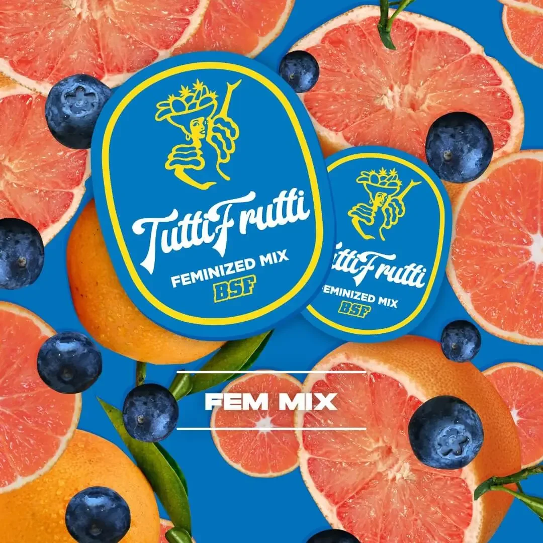Tutti Frutti Mix Bsf Com 3