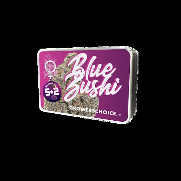 Blue Zushi 5