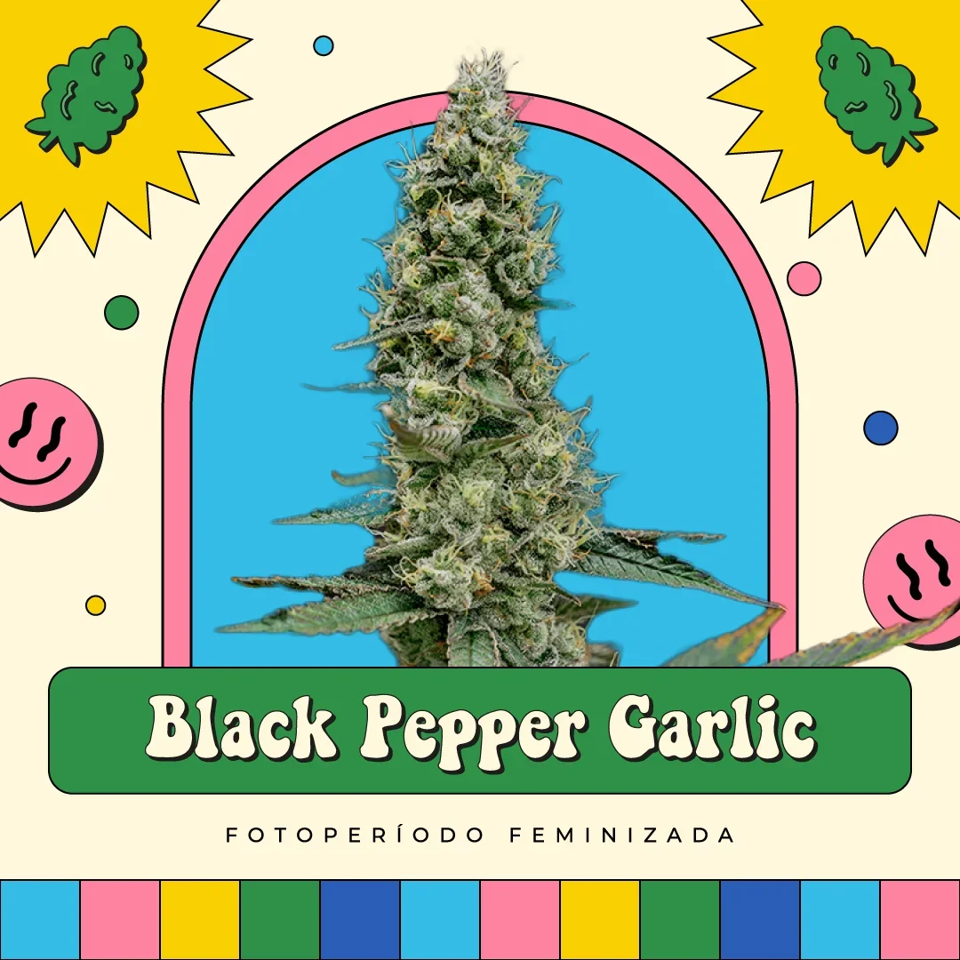 Black Pepper Garlic