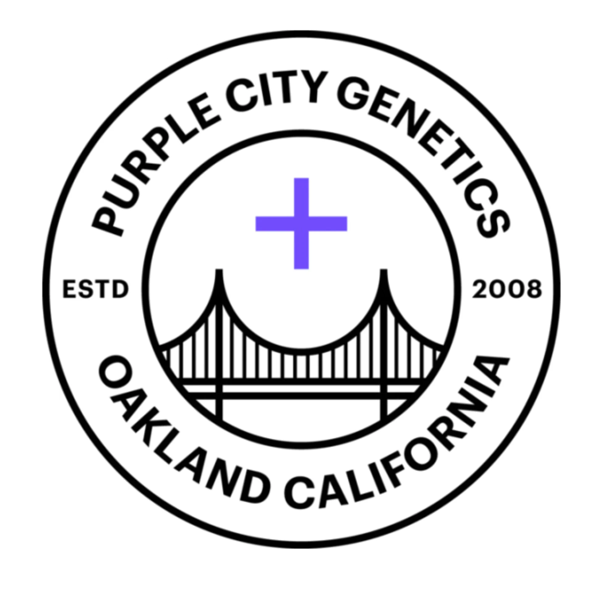 Fez Purple City Genetics El Krem Collection 2