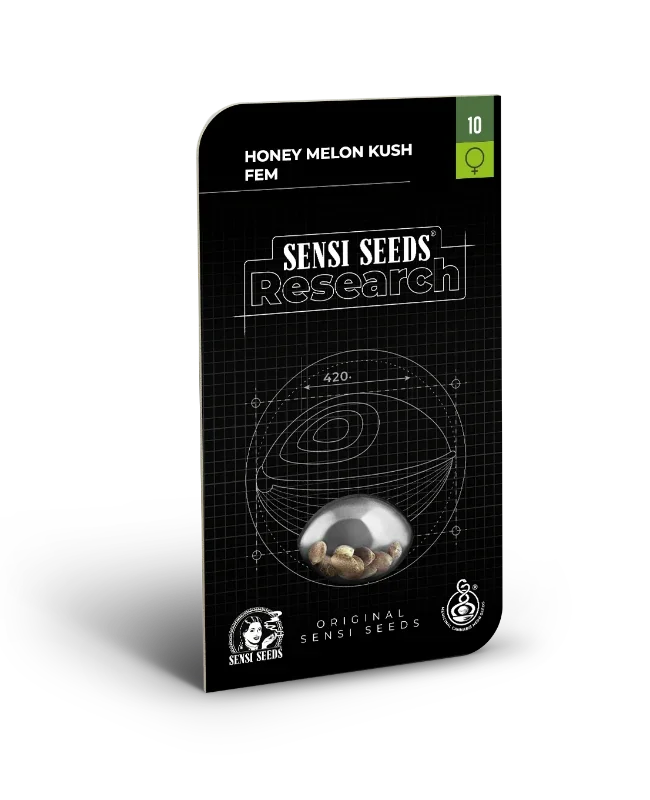 Honey Melon Kush 3