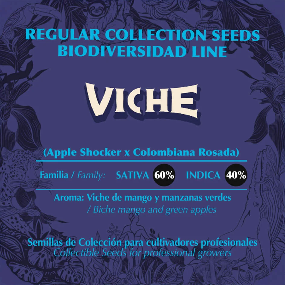 Viche 2