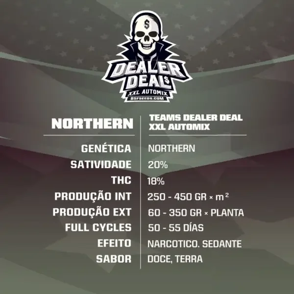Dealer Deal Xxl Mix Bsf Com 5