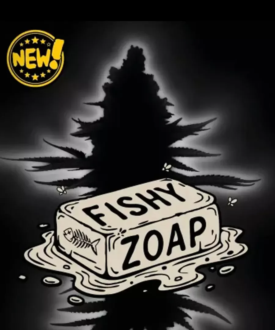 Fishy Zoap 3
